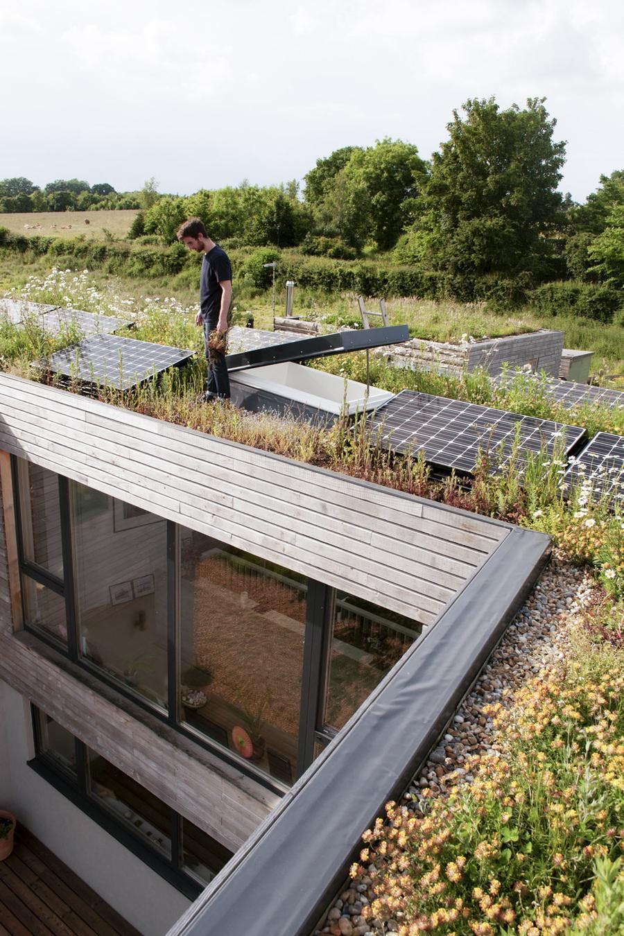 Periscope House with PV panels and green roof by Studio Bark