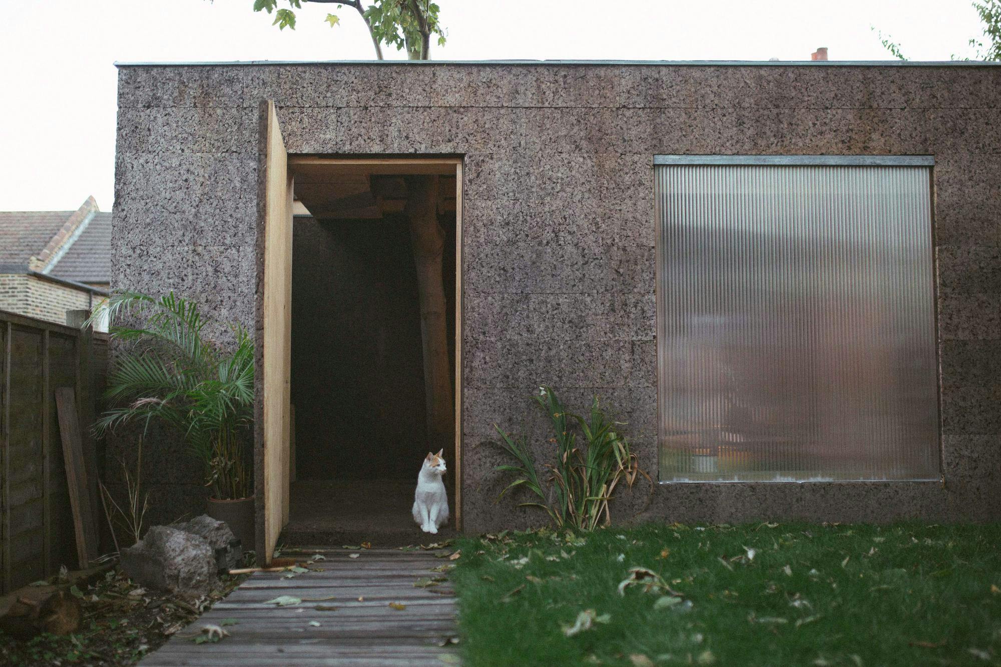 View of cat sitting in a doorway of a cork studio