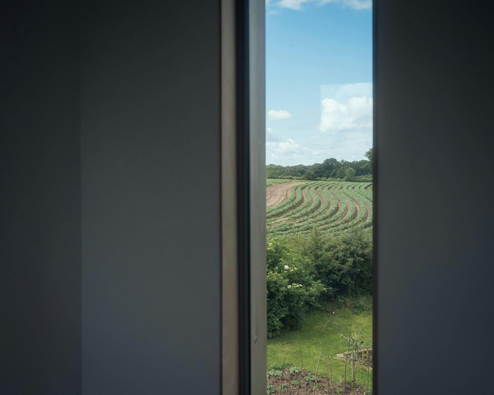 View to crop field through window