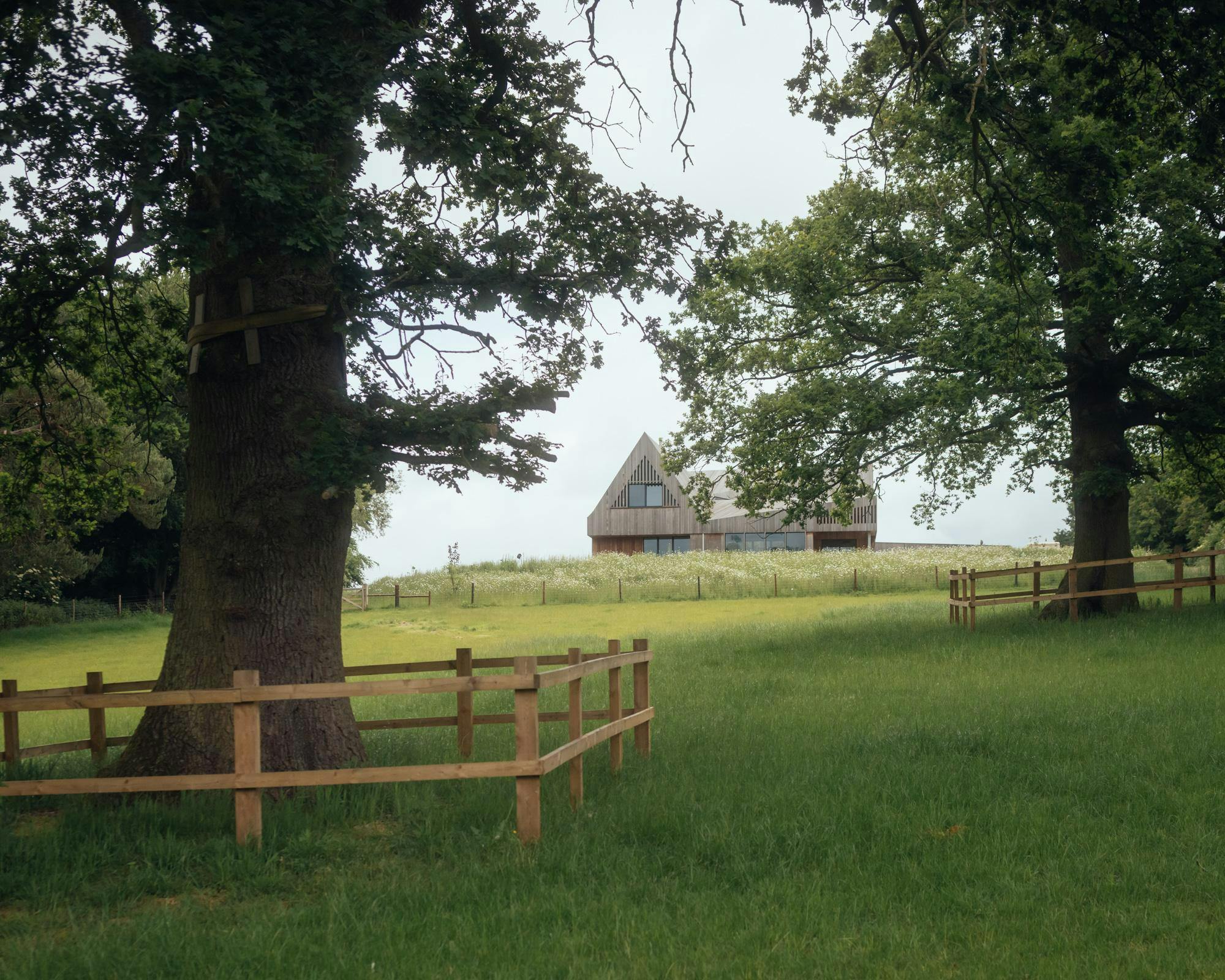 Distance view of Water Farm with oak trees