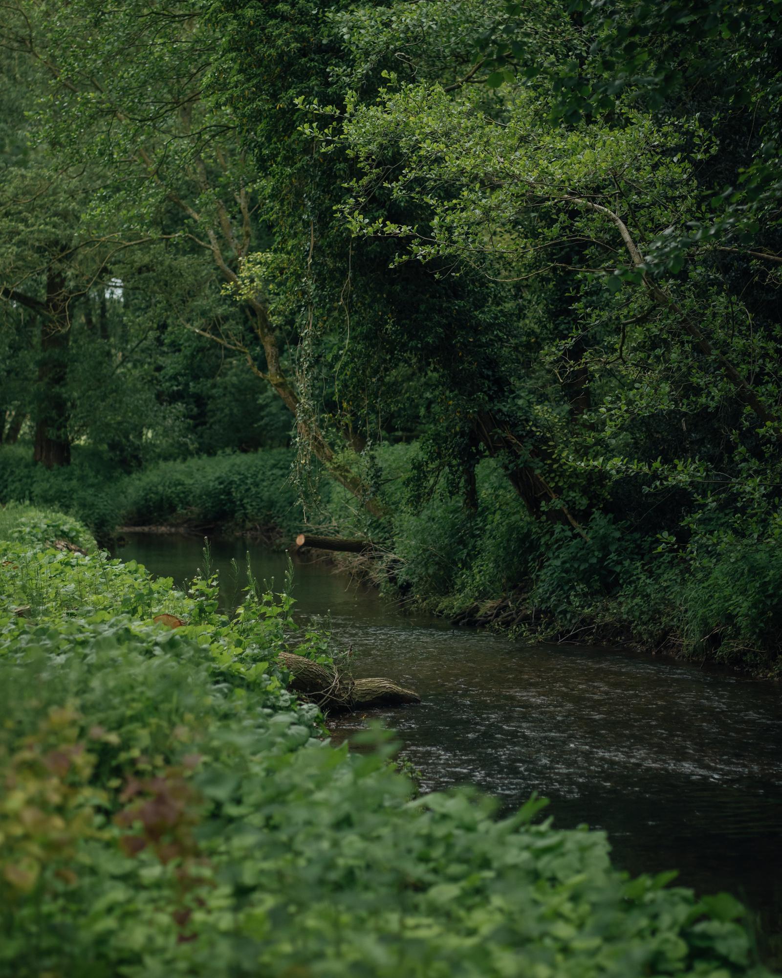Stream in the Norfolk countryside