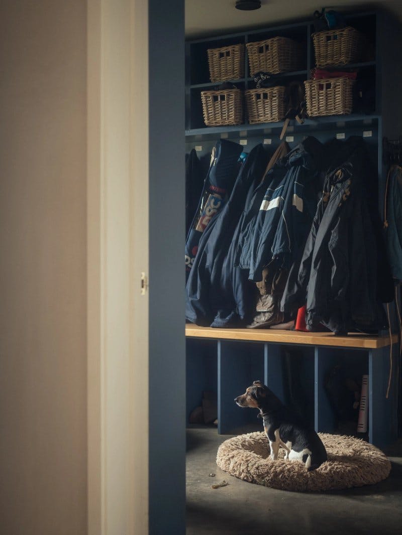 Boot room with dog by Studio Bark