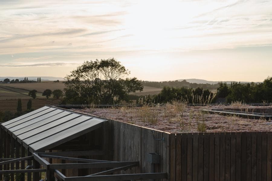 Green roof and solar panels on top of Nest House by Studio Bark