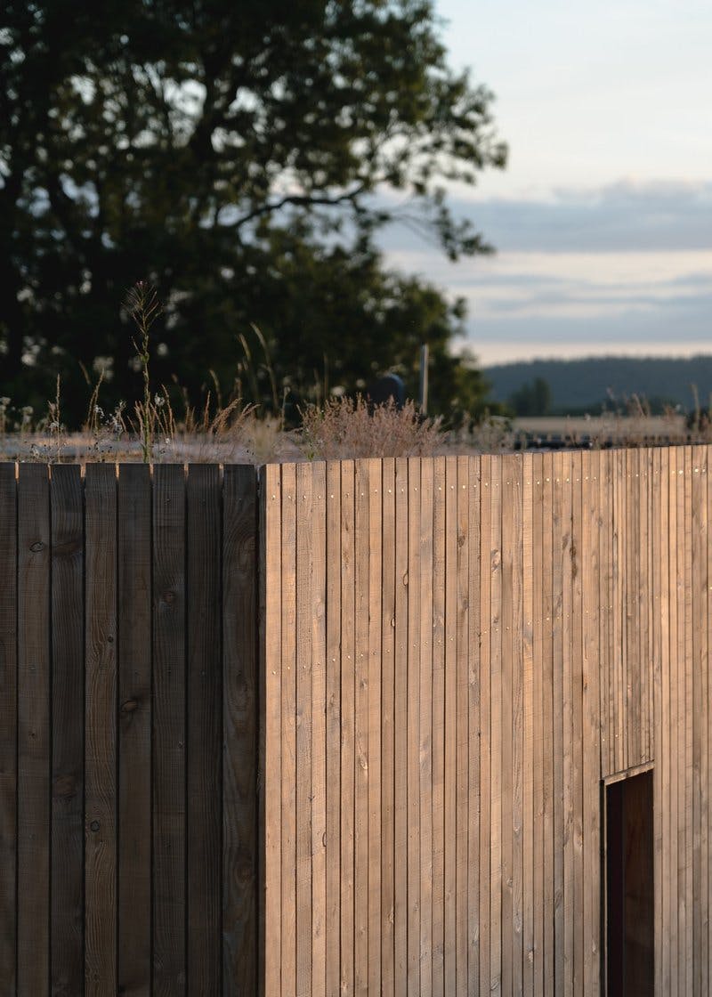 Nest House green roof and timber cladding