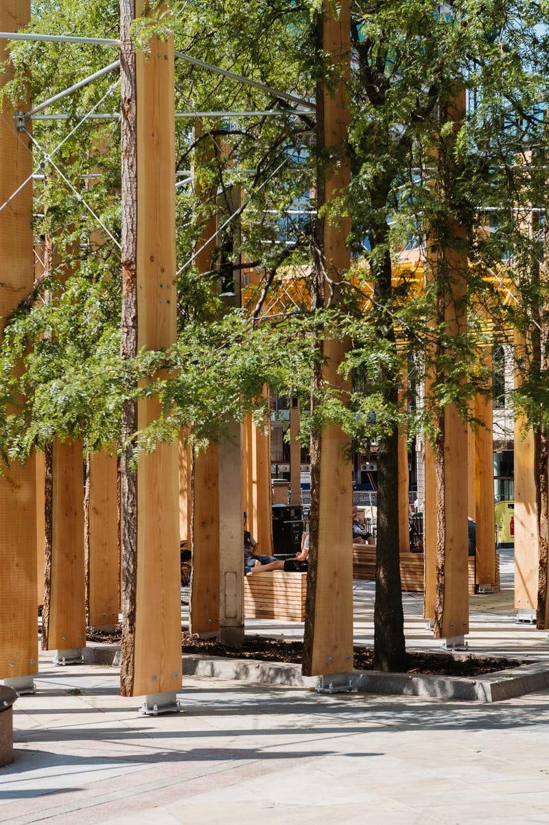 Timber art installation enveloped by trees in Leeds City Centre