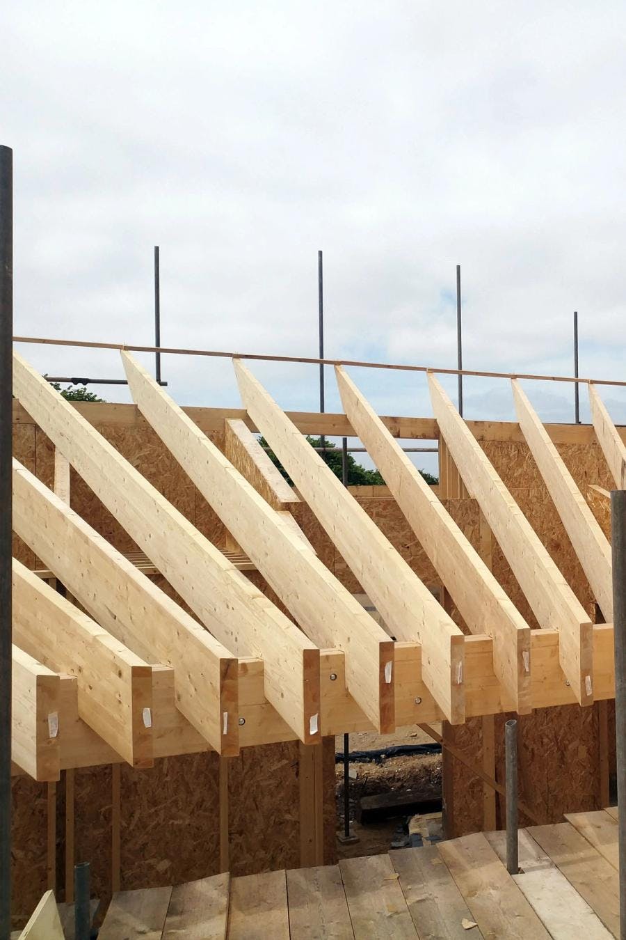 Image of roof joists on a Paragraph 80 home by Studio Bark