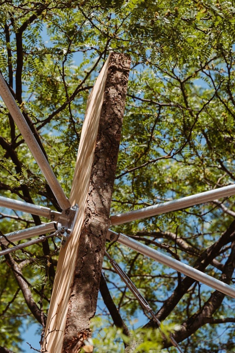 Timber art installation by Studio Bark and Michael Pinsky